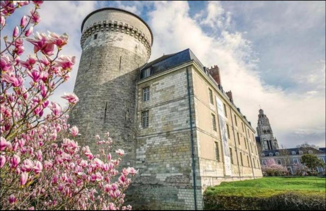 Appart'Choisille La Membrolle-sur-Choisille ภายนอก รูปภาพ